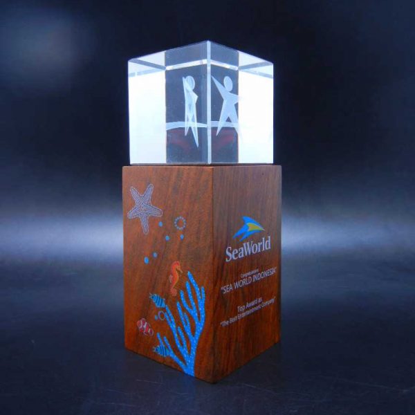 Crystal trophy with wood base