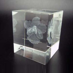 3D Orchid Image In Crystal (Cuboid)