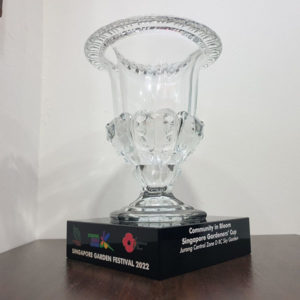 cup trophy