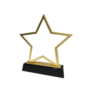 Gold Border Star Crystal Trophy